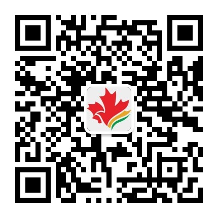 枫叶红公众号二维码